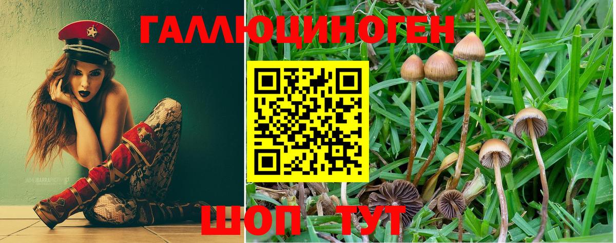 Псилоцибиновые грибы Magic Shrooms  наркотики  Зеленодольск  Вход с VPN  Псилоцибиновые грибы GOLDEN TEACHER 