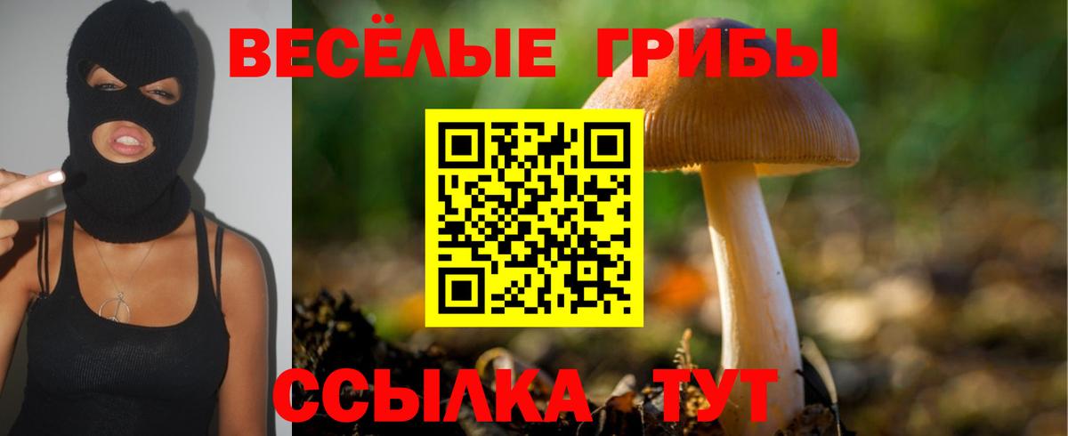 Галлюциногенные грибы Psilocybine cubensis Зеленодольск